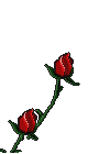 fleurs-20-64-.gif