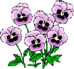003-copie-1.gif