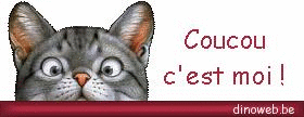 chat1.gif