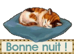 coussin.gif