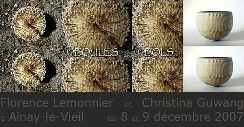 Bols et Boules Boules et Bols, exposition Florence Lemonnier et Christina Guwang à Ainay le Vieil les 8 et 9 décembre 2007