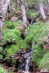 Cantal-243.jpg