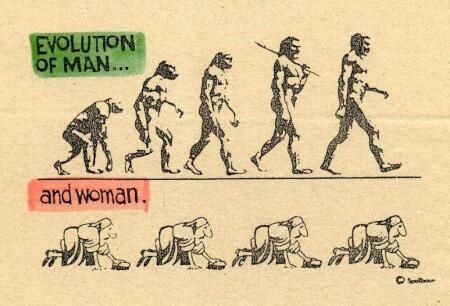 evolution-copie-2.jpg