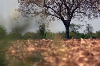 Profondeur de champ (pdf)