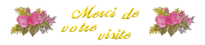 doll-imagemerci-de-votre-visite-004.png
