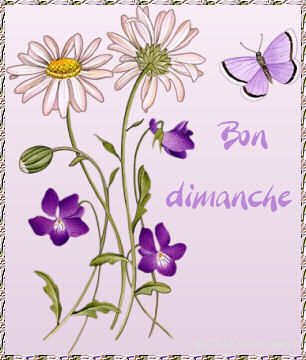 bon dimanche fleurs