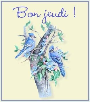 bon-jeudi-oiseaux-bleu.jpg