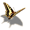 anim288-copie-1.gif