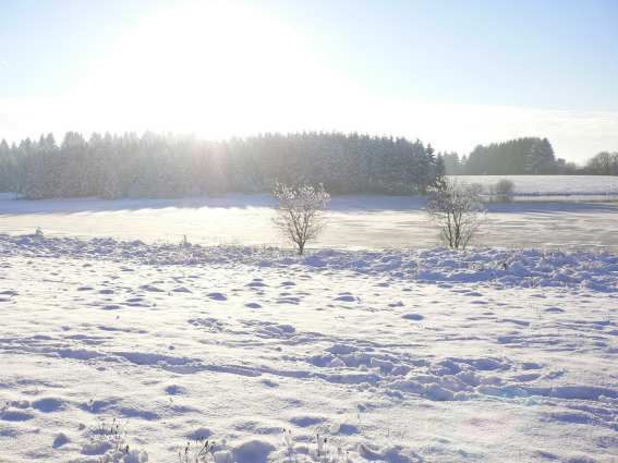 neige.jpg