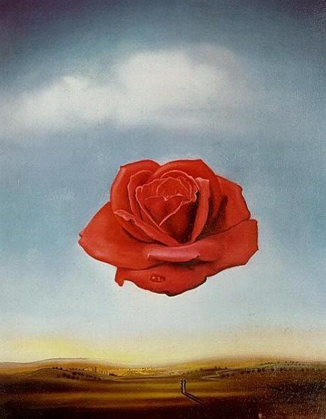 Rose-meditative-Dali