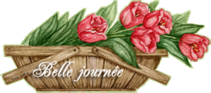 serie16_bellejournee.gif