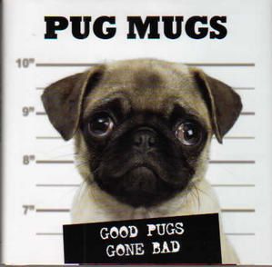 I'm a pug ! I'm a pug !