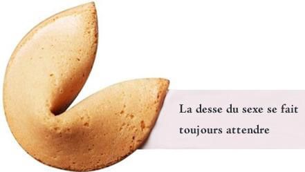cookie.jpg