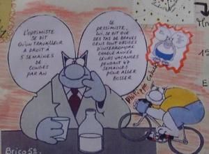 ronde-chat-Zazi5--2-.JPG