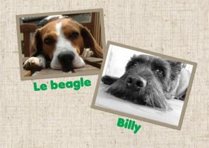 billy-et-le-beagle.jpg