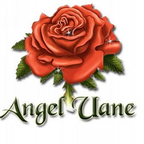 rose1tt6.jpg