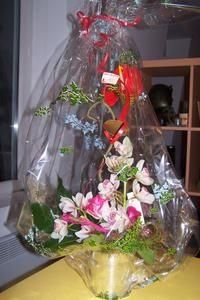 14-f-vrier-218.jpg