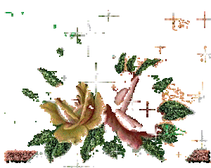 1368644822.gif
