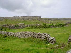 Enclosure1.jpg
