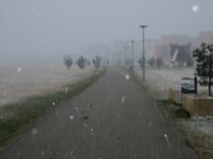 wetterm-ff.jpg