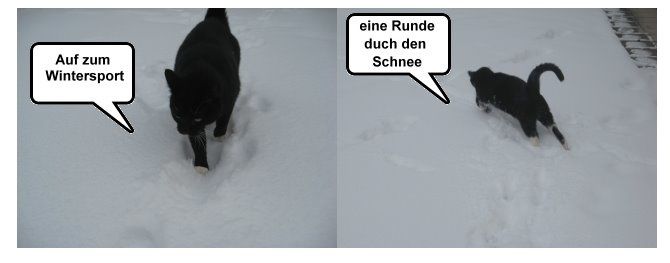 katwin---3.jpg