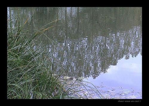 etang2.jpg