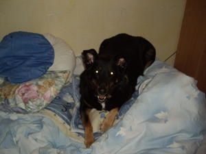 IMGP0791.JPG