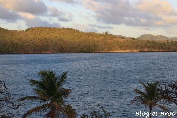 Martinique 003