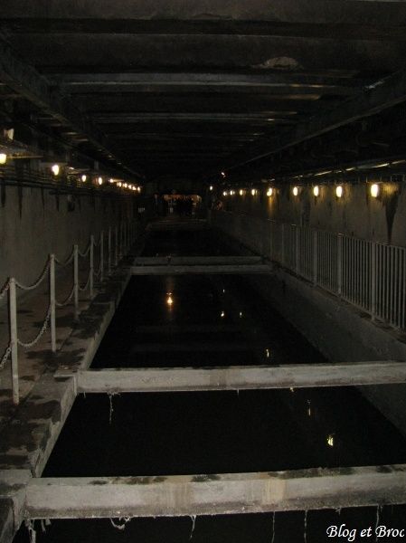 Paris 229