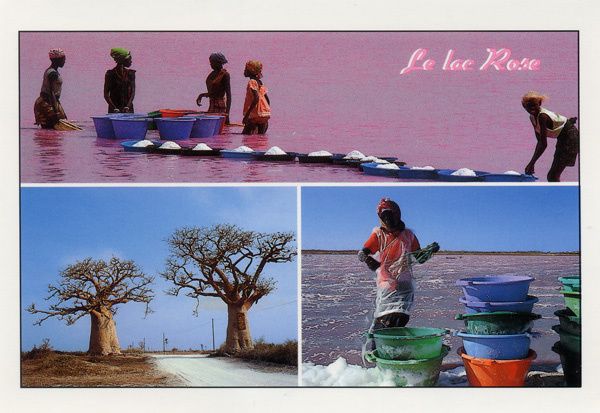 241 - Lac Rose, Sénégal