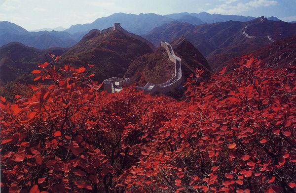 293 - Grande Muraille de Chine