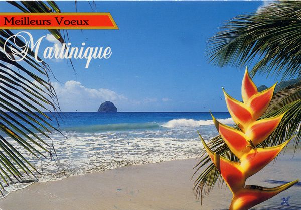 359 - Voeux