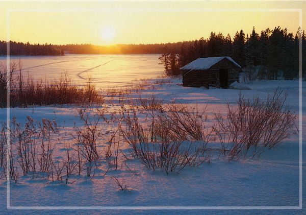 431 - Paysage finlandais