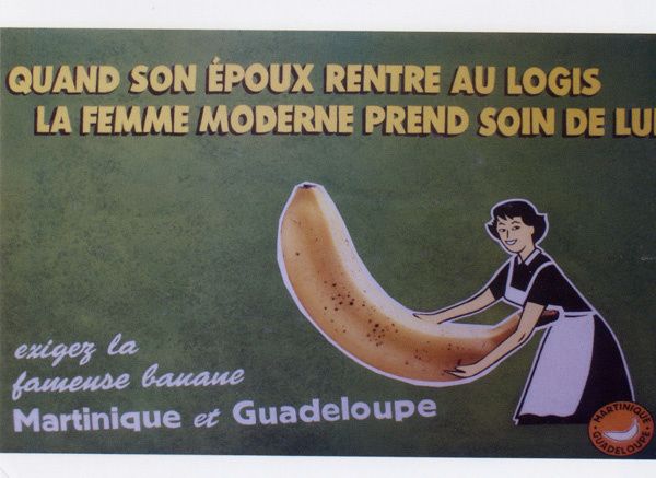 475 - La banane des Antilles