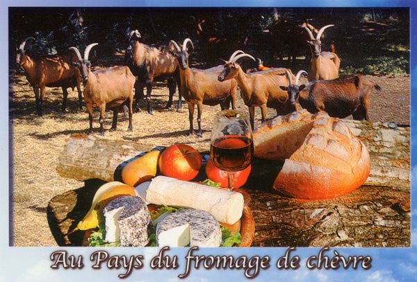510 - Au pays du fromage de chèvre