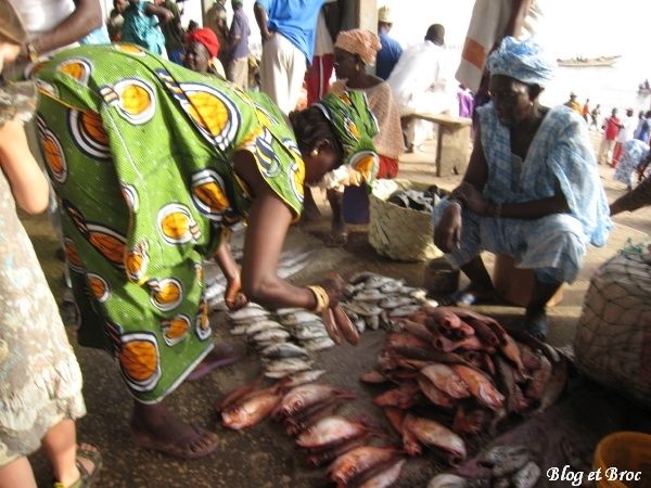 Senegal 249