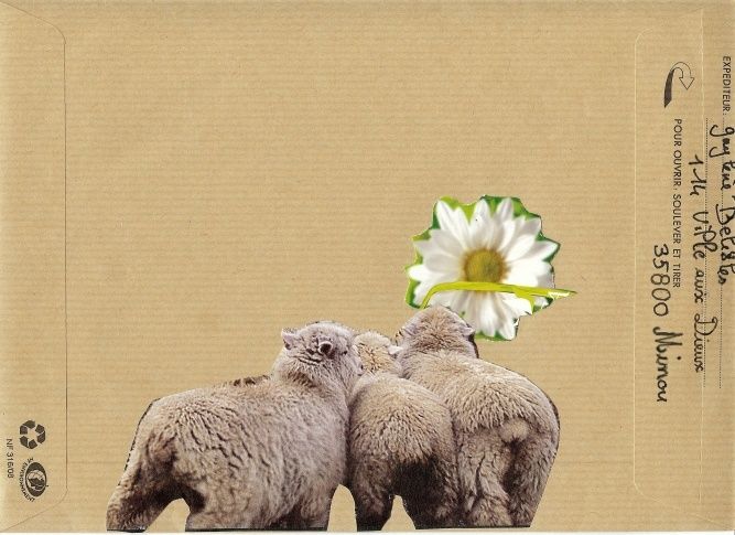 mouton1petite2.jpg