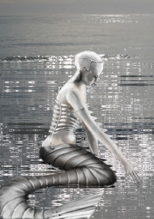 test-copie-1.gif
