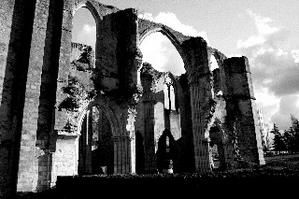 O8-Abbaye-Notre-Dame-du-Lys--Dammarie-les-Lys.jpg