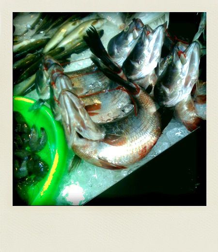 Taipei Etal de poisson