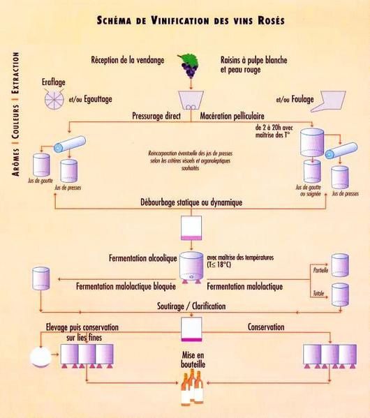 Comment fait-on le rosé?