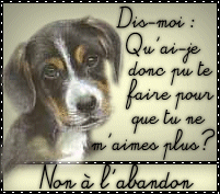 dyn002 original 201 177 gif 2510772 efaea8ae9003760b65da619