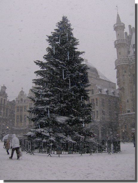 Sapin_neige_Grand_Place_Bruxelles Sapin_neige_Grand_Place_Bruxelles