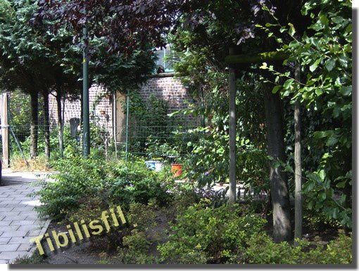 jardin_bio_Bruxelles jardin_bio_Bruxelles