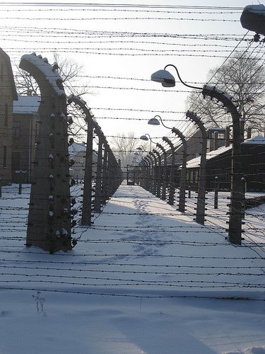 Auschwitz-sous-la-neige.jpg
