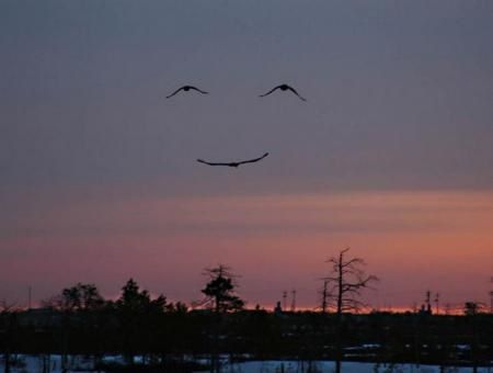 Sourire dans le ciel