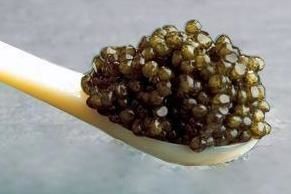 Caviar golden rare