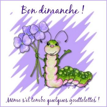 Bon dimanche même s'il tombe quelques gouttelettes