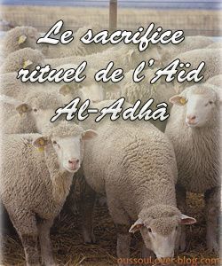 Sans titre-1