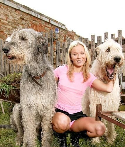 game of thrones pute fellation gourmande game of thrones pute fellation gourmande